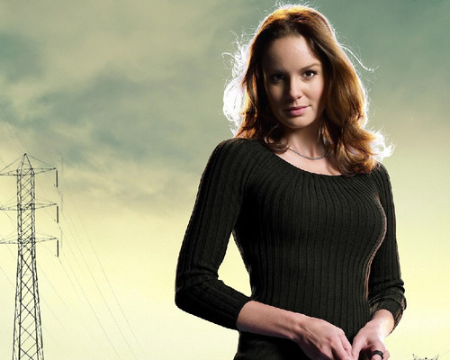 6868456-sarah-wayne-callies[1].jpg