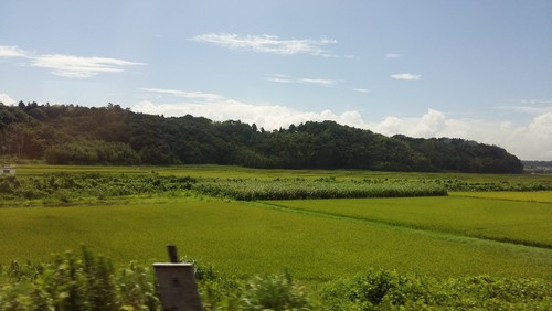 20150810_093647.jpg