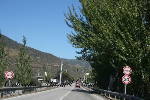 Douro Experiente Rota das Vindimas 2015 (2).JPG