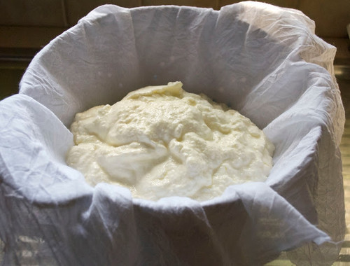 labneh 3.jpg labneh 3.jpg
