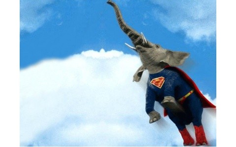 flying-elephant-t2.jpg flying-elephant-t2.jpg