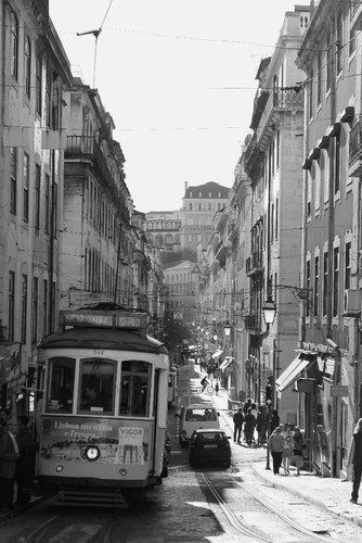 IMG_7888 - Cópia.JPG
