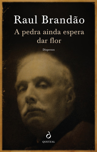 16657512_VdBvC[1].jpg