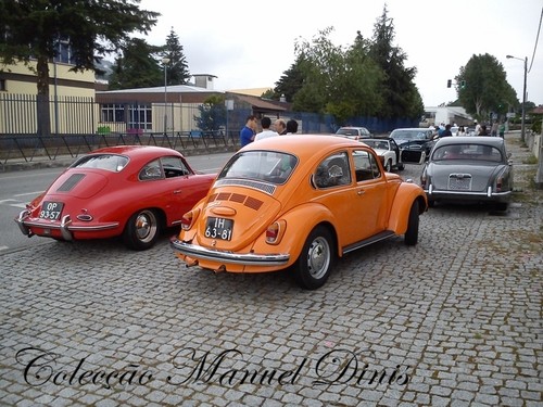 DSC_8416.jpg DSC_8416.jpg