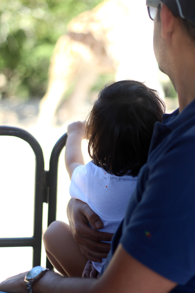 IMG_1963_a.jpg IMG_1963_a.jpg