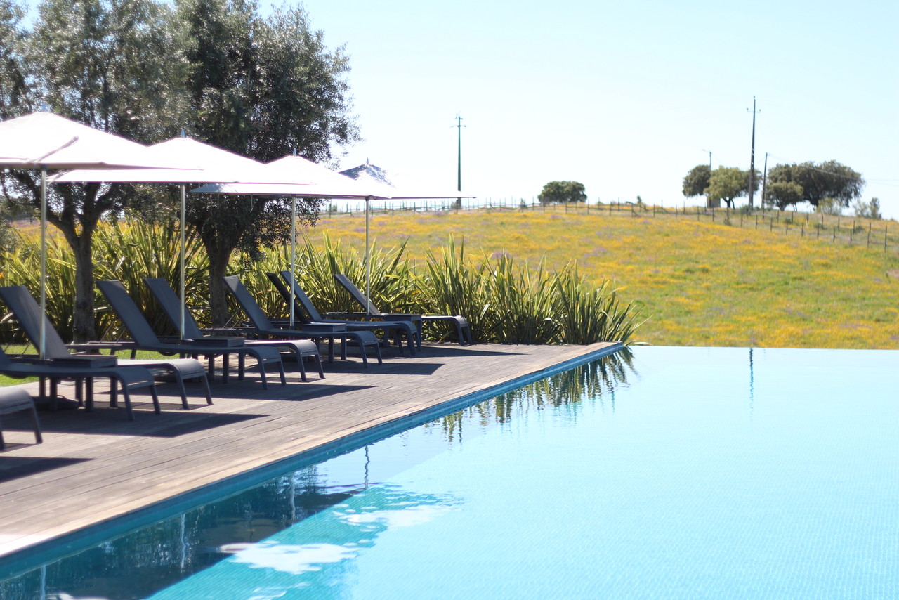 IMG_0672.JPG IMG_0672.JPG