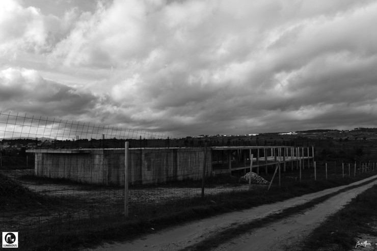 _D761786.JPG _D761786.JPG