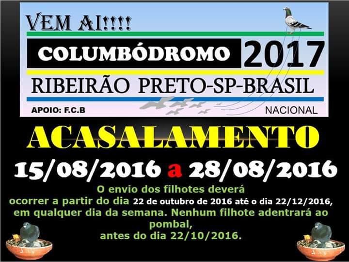 Brasil.jpg Brasil.jpg