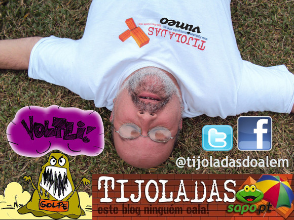 @tijoladas Mosquito FOTO