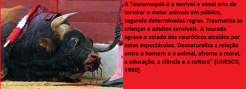 Videos De Largadas De Touros Para Rir