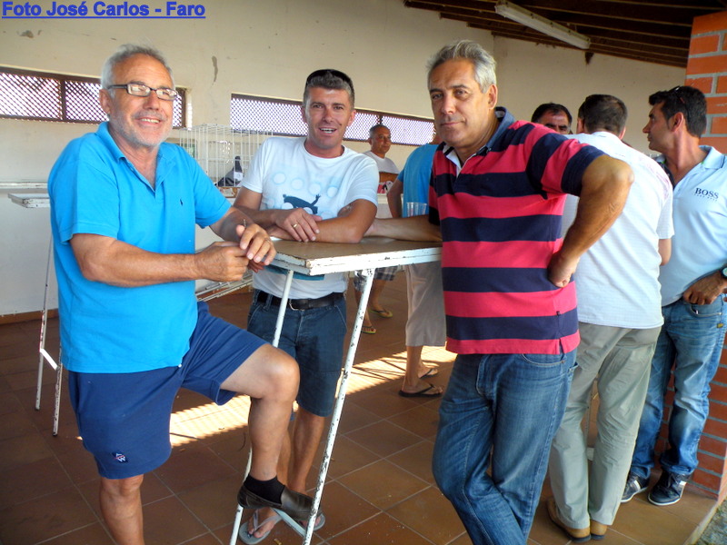 Leilão Castro Verde 013.JPG Leilão Castro Verde 013.JPG