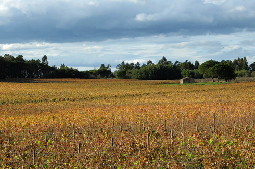 Blogue_paisagem17_VNTázem2015_v3.jpg Blogue_paisagem17_VNTázem2015_v3.jpg